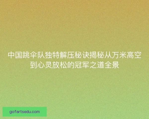中国跳伞队独特解压秘诀揭秘从万米高空到心灵放松的冠军之道全景