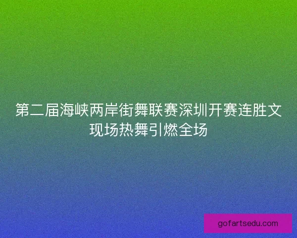 第二届海峡两岸街舞联赛深圳开赛连胜文现场热舞引燃全场